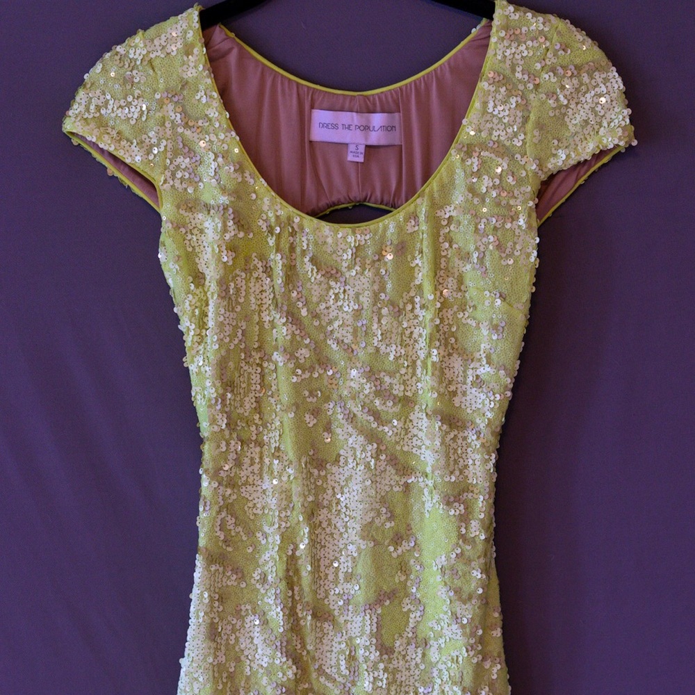 Dress The Population Dress